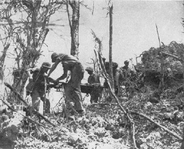 揭秘中国人民解放军陆军第47军高炮旅的神秘面纱，中国人民解放军陆军第47军高炮旅神秘面纱揭秘