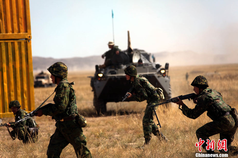 和平使命,免费观看的启示与思考,和平使命,启示与免费观看的思考深度解读