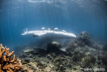 深度解析 第34页