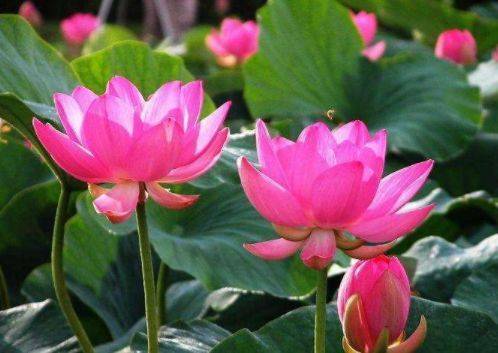 深度探索与解读 第6页