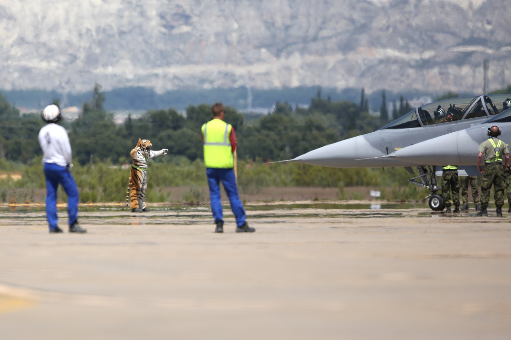 湖北最大的空军基地,探索与揭秘,湖北最大空军基地,探索与揭秘之旅