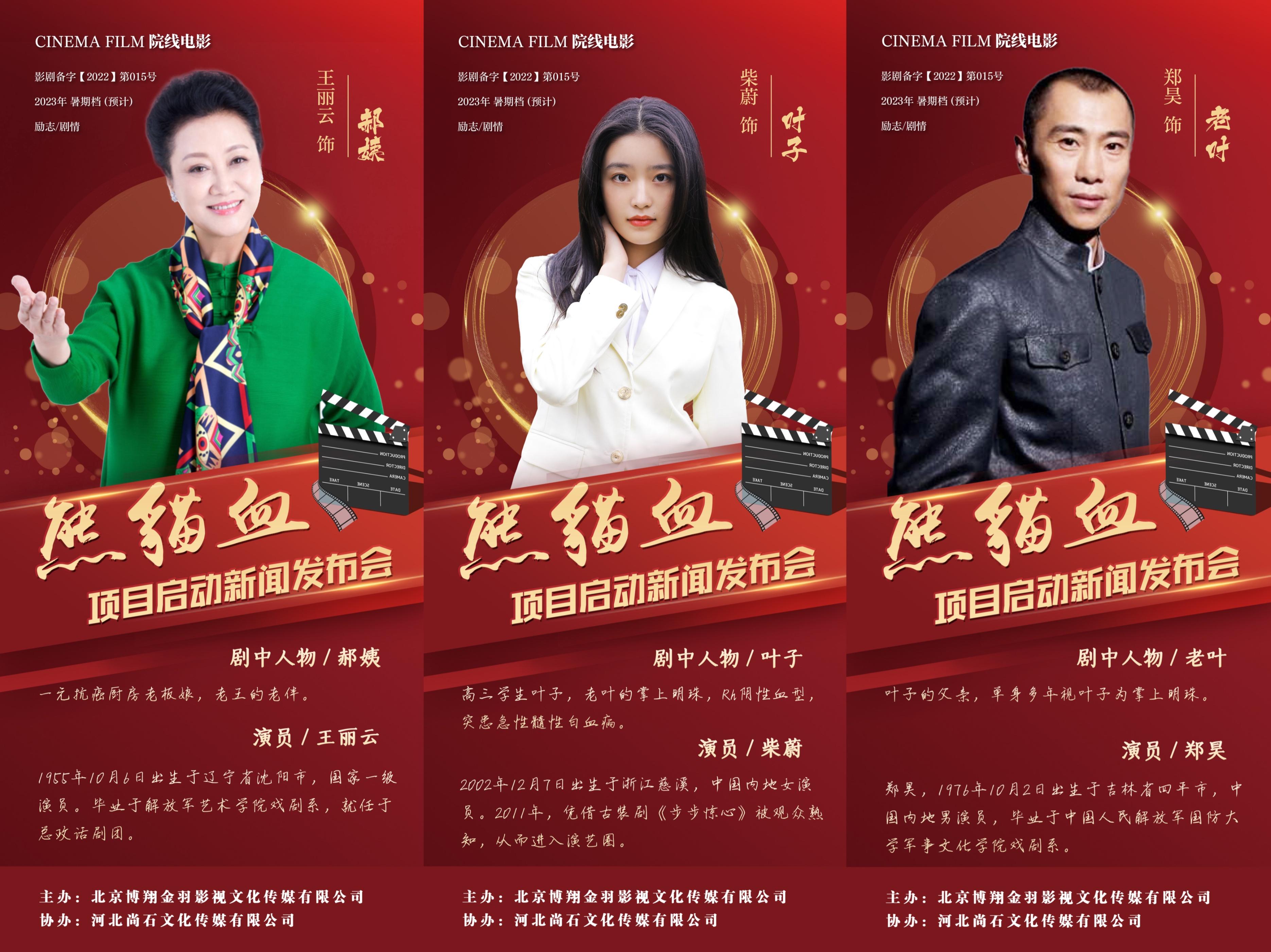 城市发展与未来展望