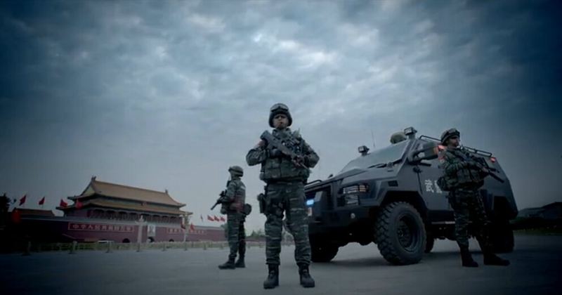 武警军花,绽放的荣耀与担当,武警军花,荣耀与担当的绽放