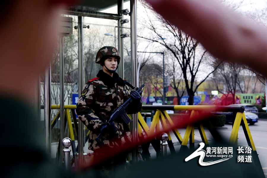 武警军花,绽放的荣耀与担当,武警军花,荣耀与担当的绽放