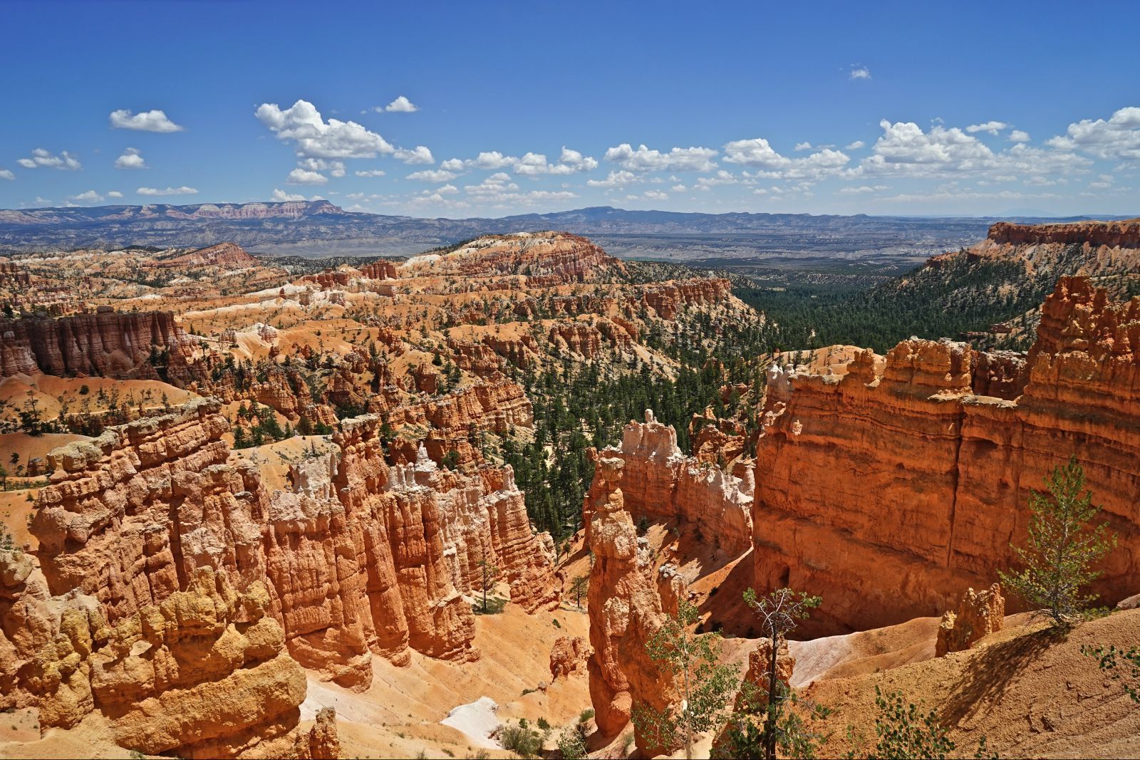 美国的西部，历史、文化与地理的壮丽画卷，美国西部，历史、文化与地理的辉煌画卷