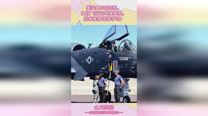 乌克兰A-10攻击机飞行员，荣耀与牺牲的象征，乌克兰A-10攻击机飞行员，荣耀与牺牲的象征标签