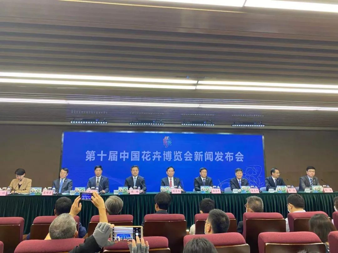 新闻发布会回应公众关心内容,透明度与公众信任的桥梁,新闻发布会,搭建透明度桥梁,回应公众关切,增强公众信任