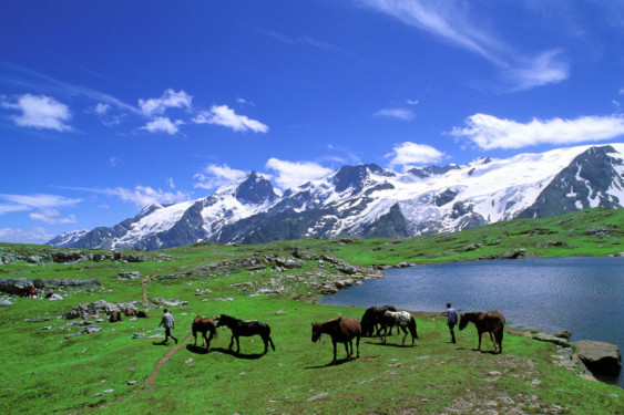 老澳门最快开奖结果开奖,历史、现状与展望,老澳门开奖结果,历史、现状与展望