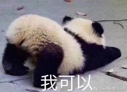 揭秘刘伯温四不像平特一肖的神秘面纱，刘伯温四不像平特一肖揭秘，神秘面纱下的真相探索