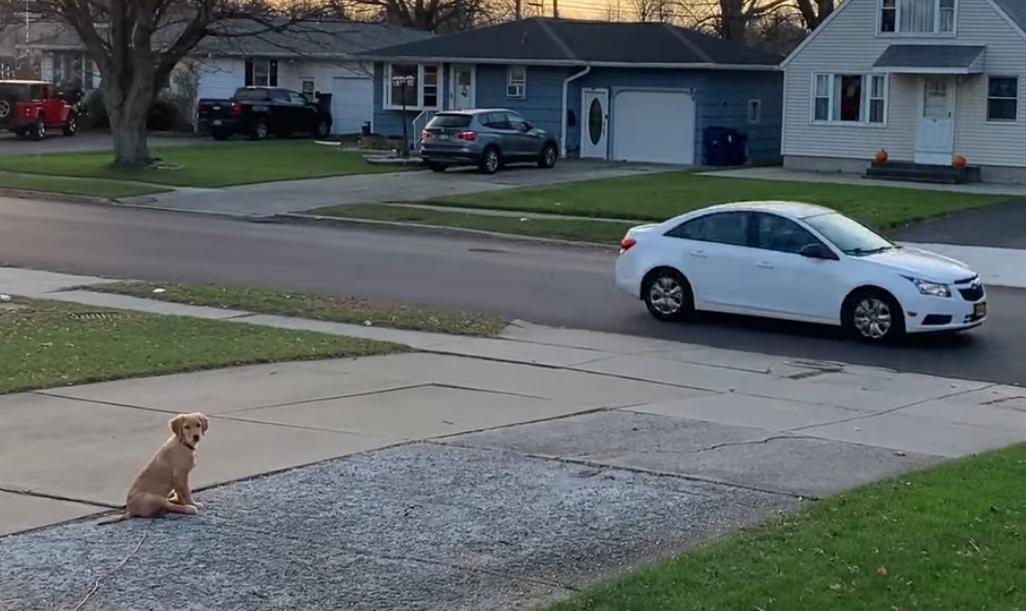 新管家婆四不像必中一肖——揭秘彩票预测的真相,揭秘彩票预测真相,新管家婆四不像必中一肖探究