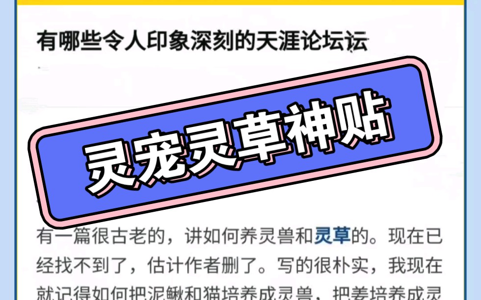 天涯论坛中的灵宠灵草,神秘世界的探索与分享,天涯论坛神秘灵宠灵草,探索与分享的世界