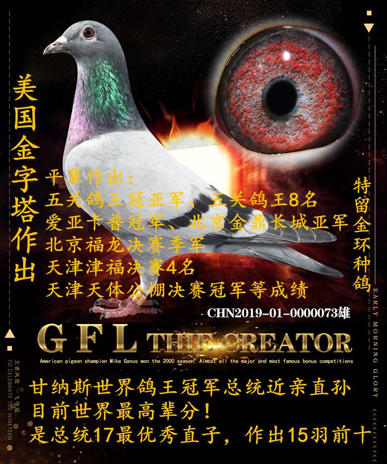 揭秘049王中王风冠一肖的神秘面纱,揭秘王中王风冠一肖的神秘面纱