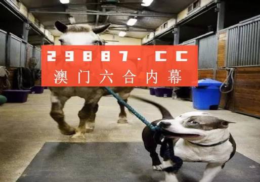 澳门一肖一码一必中一肖同舟前进的独特魅力与探索,澳门一肖一码,独特魅力的探索与前进之路