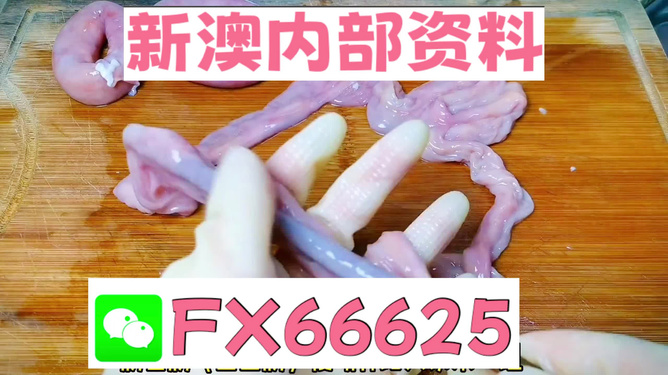 新澳一肖一马,探索与解读,新澳一肖一马的探索与解读