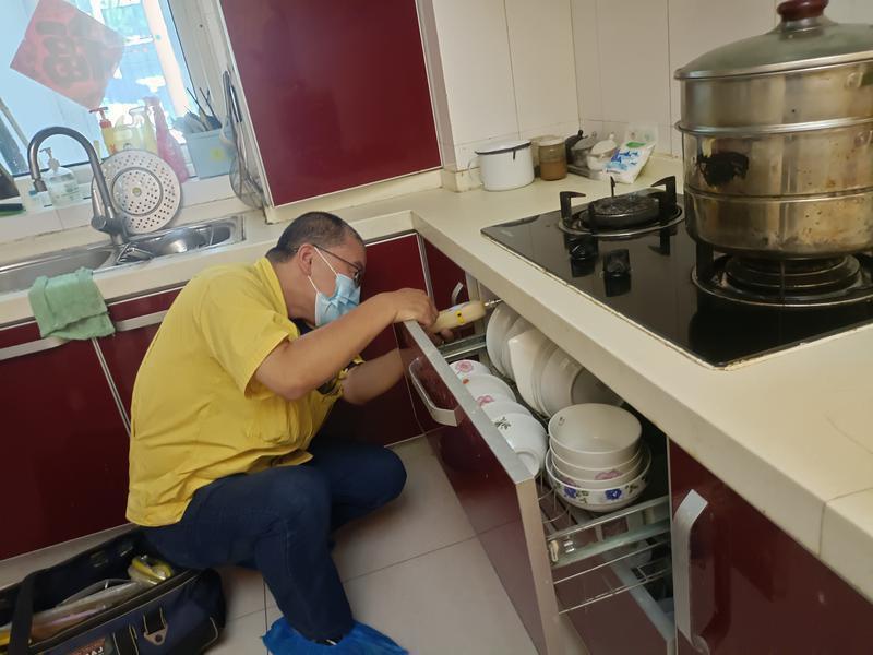 新奥天天免费资料大全,探索与发现,新奥天天免费资料大全,探索与发现的奥秘