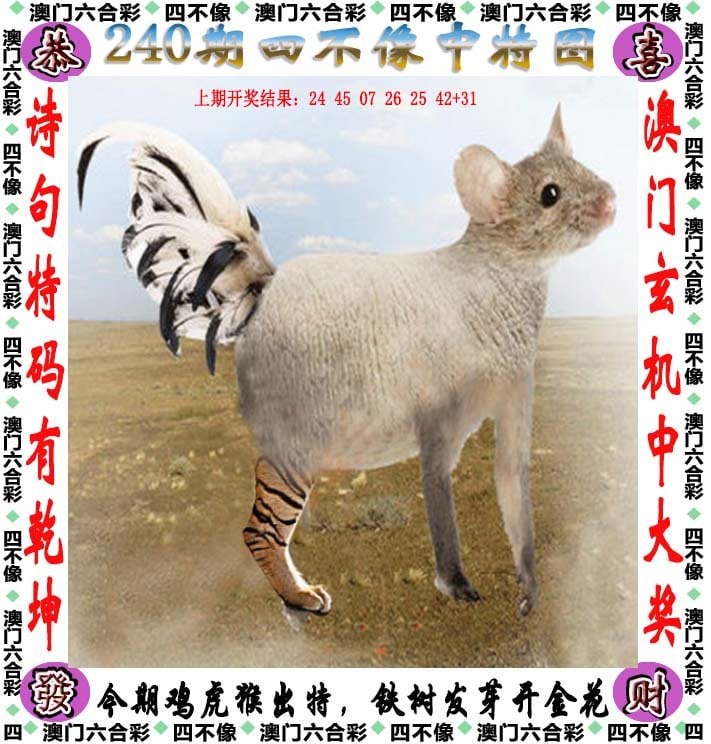 澳门精准四不像,探索与解析(2025展望),澳门精准四不像解析与未来展望(2025年展望)