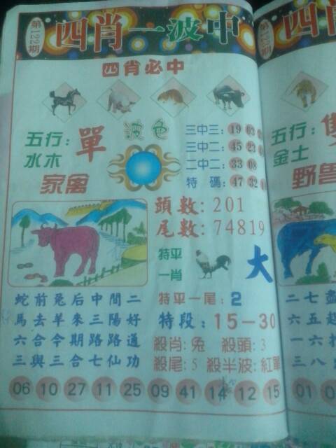 王中王145期指一生肖——探寻生肖文化的魅力与深层含义，探寻生肖文化魅力与深层含义，王中王145期揭晓一生肖之选