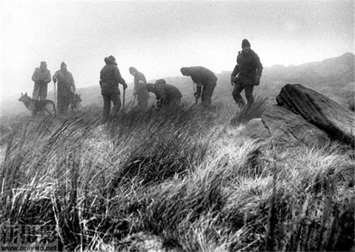 今日新闻消息,全球科技巨头发布最新创新产品,全球科技巨头发布创新产品刷新今日新闻头条