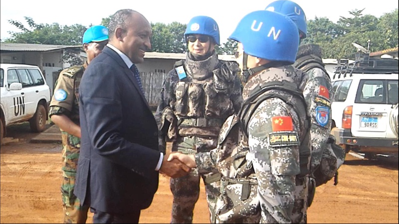 和平使命,维和任务的崇高与免费观看的意义,维和使命的崇高与免费观看的意义,和平的守护者