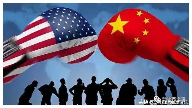 国防带来的启示,国家安全的深层思考与前瞻策略,国防启示录,国家安全的前瞻思考与策略探索