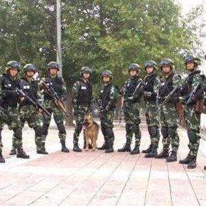 中国人民武装警察部队特种警察学院录取分数线解析，中国人民武装警察部队特种警察学院录取分数线详解