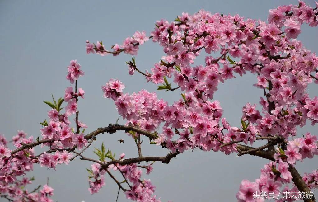 泉州建设工程招投标信息网的深度解析,泉州建设工程招投标信息网全面解析