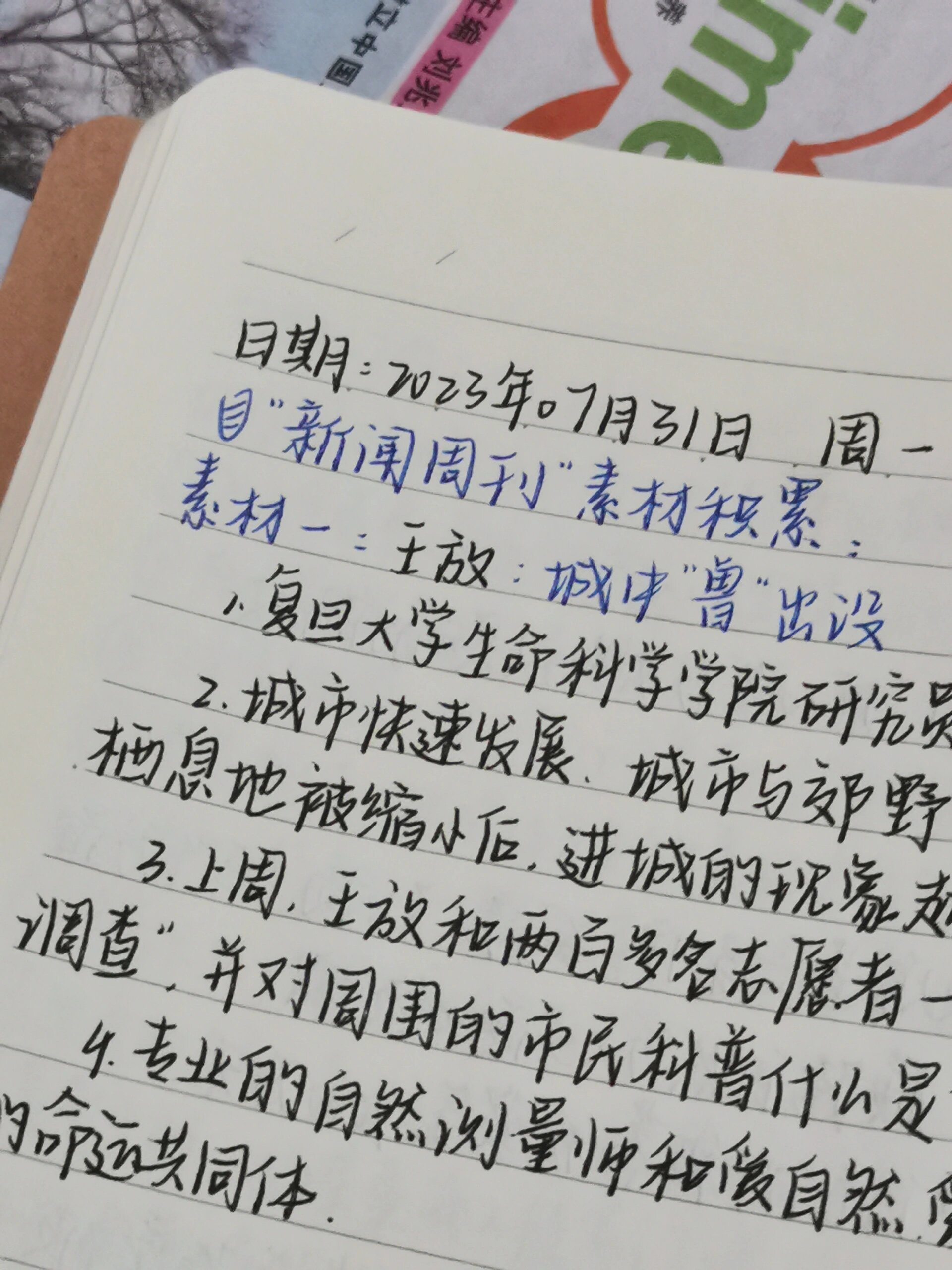 今日新闻摘抄十条(XXXX年XX月XX日),今日新闻热点摘要(XXXX年XX月XX日)
