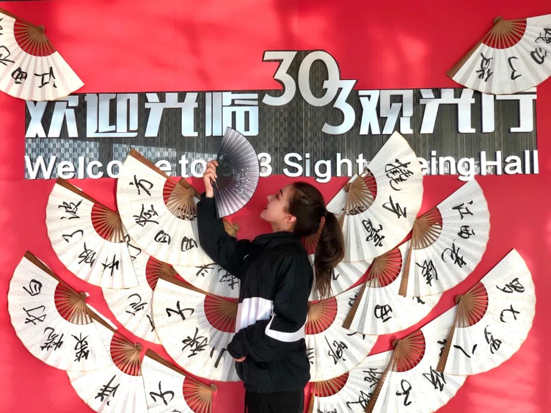 王中王303期指一生肖,探寻生肖文化背后的奥秘与深意,探寻生肖文化背后的奥秘与深意——王中王303期生肖揭秘