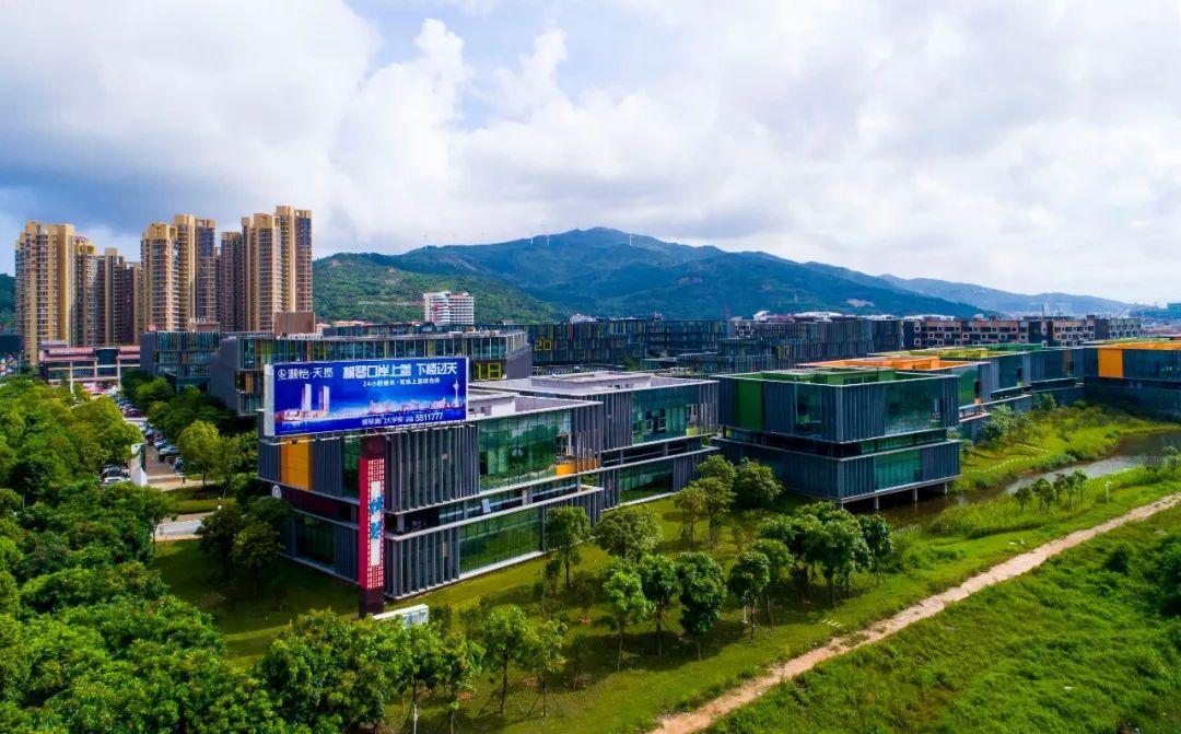 新澳门最精准——探索精准预测的魅力与力量,新澳门精准预测,探索魅力与力量的奥秘