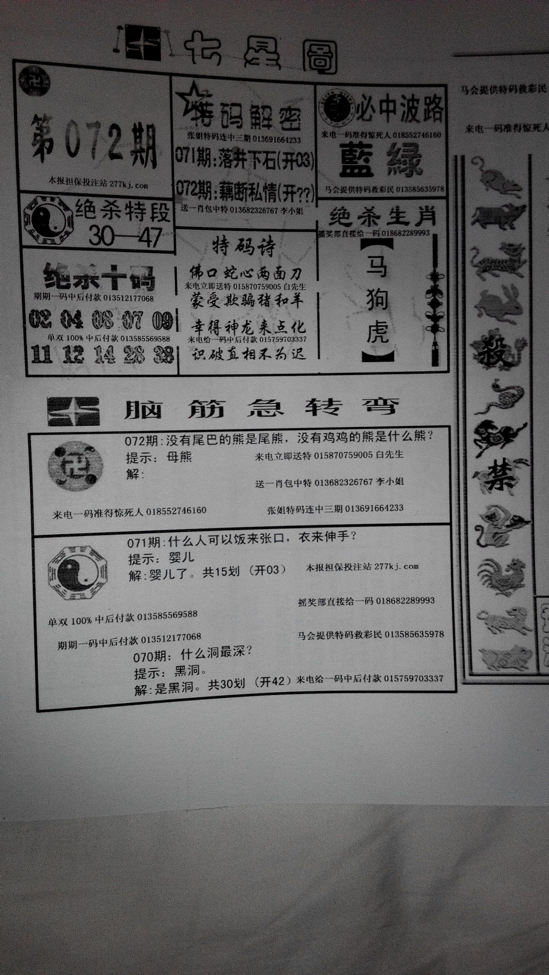 王中王155期指一生肖——探寻背后的文化魅力,探寻生肖文化魅力,王中王155期揭秘生肖背后的故事