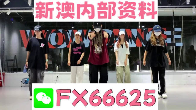 新奥天天免费资料大全,探索与收获,新奥天天免费资料大全,探索之旅与收获时刻