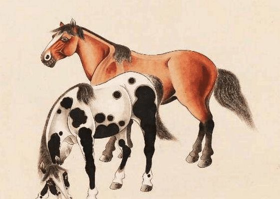 马一王中王特平一肖图,探寻神秘符号背后的故事,神秘符号背后的故事,探寻马一王中王特平一肖图的秘密