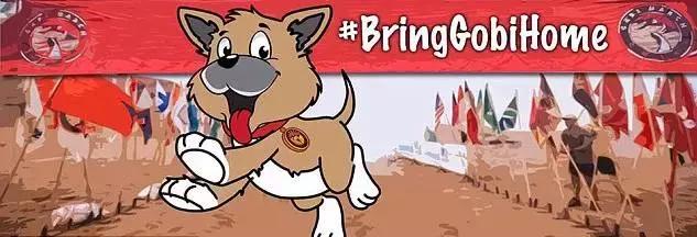 凤凰网新闻特点,深度、广度与速度的完美结合,凤凰网新闻,深度、广度与速度的完美融合