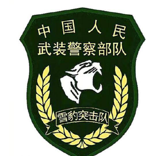 武警雪豹突击队旗，荣耀与力量的象征，武警雪豹突击队旗，荣耀与力量的不灭象征
