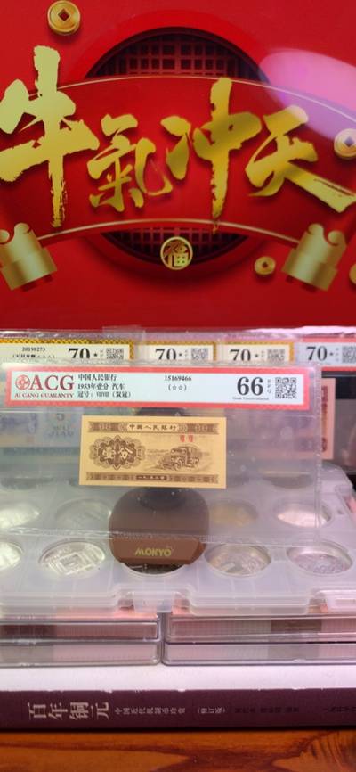 王中王一字解一肖——探寻生肖文化中的奥秘，生肖文化揭秘，王中王一字解一肖