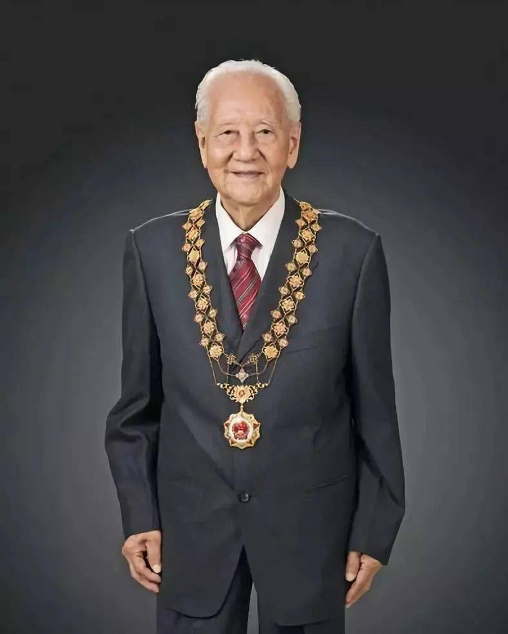 共和国勋章,致敬九位卓越人物,共和国勋章,致敬九位卓越人物的辉煌荣耀