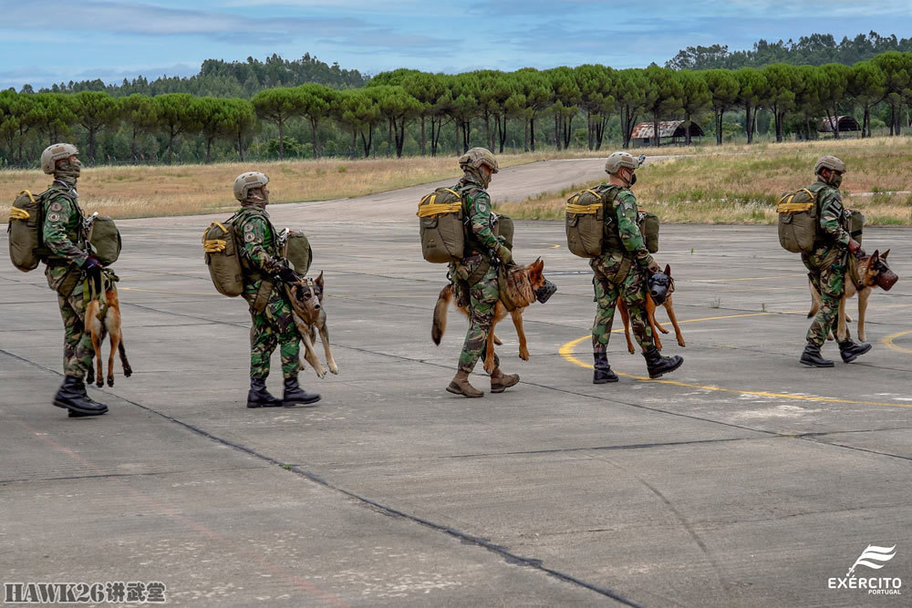 战略支援部队中的特种部队，存在与意义，战略支援部队中的特种部队，存在与意义解析