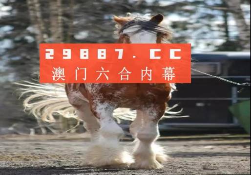 平特一肖金码论坛王中王——深度探讨与解析,平特一肖金码论坛王中王,深度解析与探讨