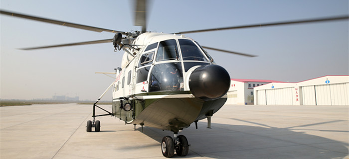 中国直-10与直-15,空中力量的双璧剑,中国直-10与直-15,空中力量的双璧剑传奇