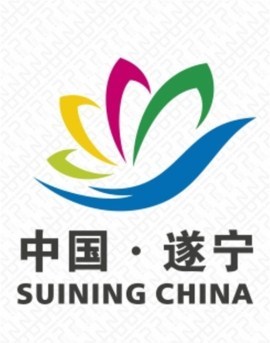 王中王遂宁平台一肖中特，探索与解析，王中王遂宁平台一肖中特，深度探索与解析