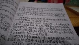 新闻摘抄,科技创新引领未来——科技领域的最新动态报道,科技创新引领未来,最新科技动态报道