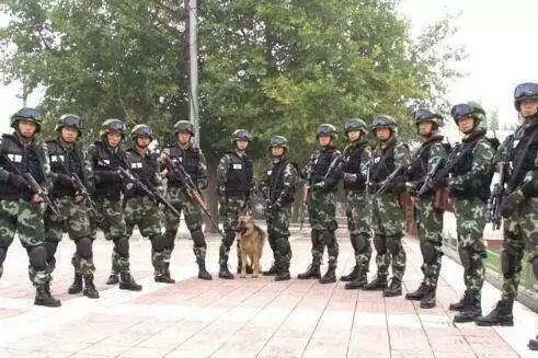 中国人民武装警察部队特种警察学院——探寻211工程中的特殊力量,探寻中国人民武装警察部队特种警察学院,揭秘211工程中的特种力量之源