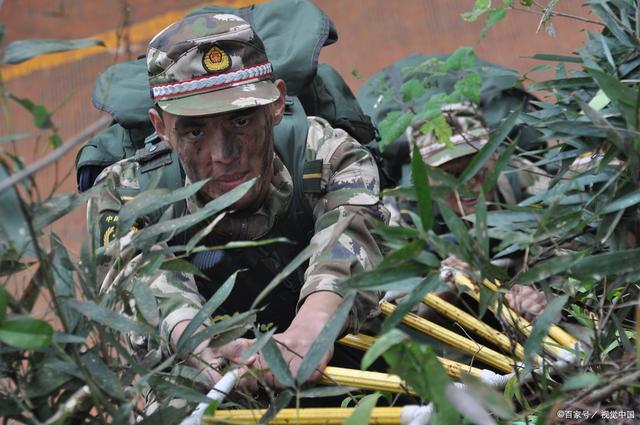 陆军与武警的区别，职责、组织及功能的不同之处，陆军与武警职责、组织及功能差异解析