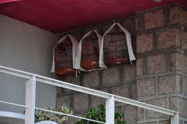 新澳门天天彩期期精准,探索彩票预测的魅力与挑战,澳门天天彩期精准预测,探索彩票魅力的同时迎接挑战