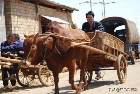 揭秘中国海军的骄傲,051C型导弹驱逐舰的吃水深度,揭秘中国海军的骄傲,051C型导弹驱逐舰吃水深度解析