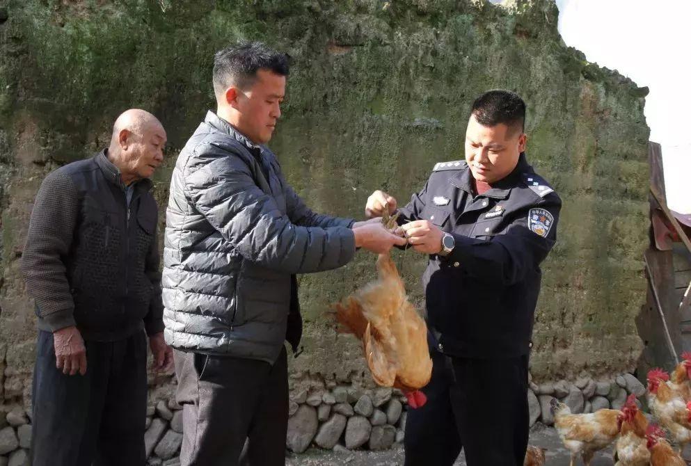 精准一肖，揭秘真相，100%免费预测的背后故事，揭秘真相，精准预测背后的故事，免费预测一肖的秘密