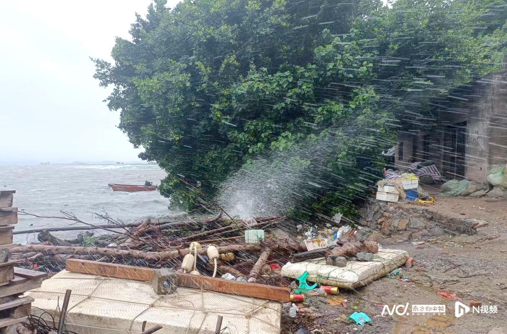 巨浪导弹-5,中国海洋安全的坚实盾牌,巨浪导弹-5,中国海洋安全的强大盾牌