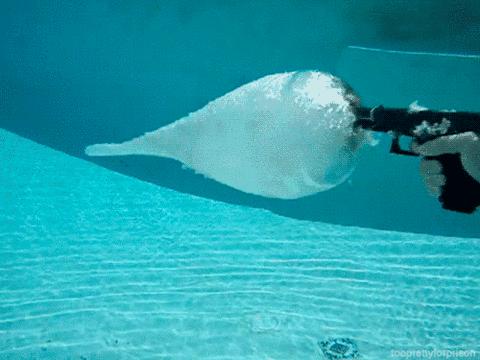 军事战斗基础常识概述,军事战斗基础常识概览