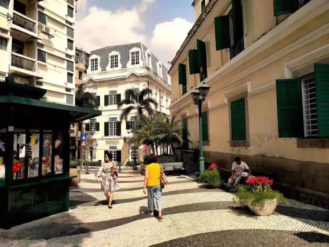 新澳门今晚必开一肖,探索生肖彩票的魅力与背后的文化逻辑,澳门生肖彩票背后的文化逻辑与魅力探索