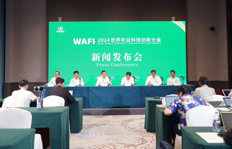 科技创新引领未来,一场别开生面的新闻发布会,科技创新引领未来,一场精彩纷呈的发布会